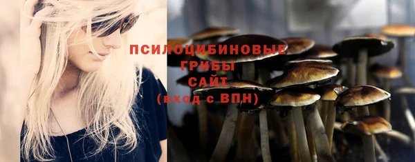 МДПВ Алзамай