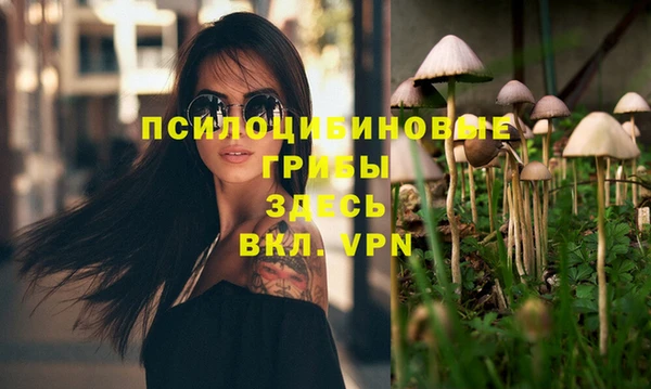 ECSTASY Абинск